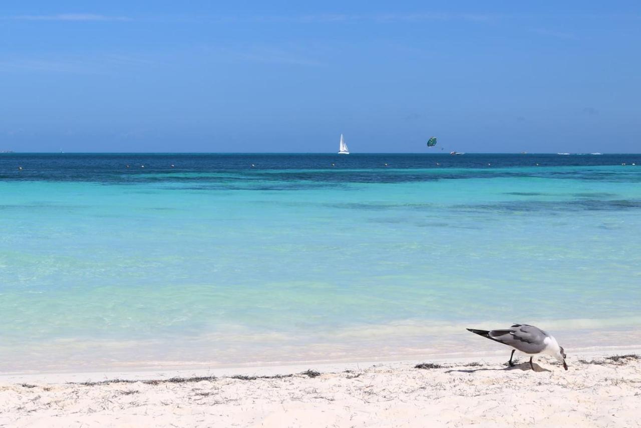 Seaak Cancun Rentals Exteriör bild