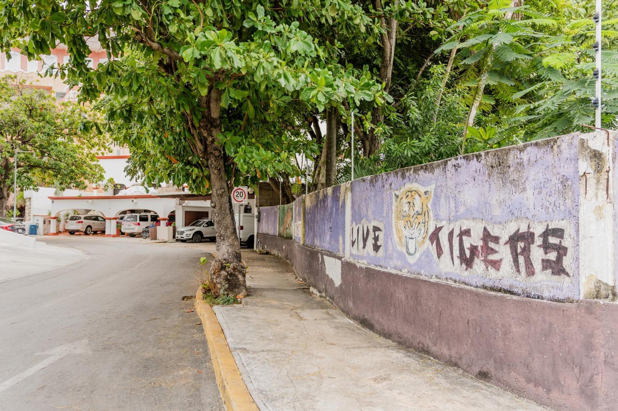 Seaak Cancun Rentals Exteriör bild